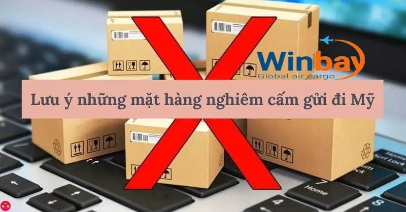 mat-hang-cam-gui-di-my