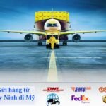 Gửi Hàng Đi Châu Âu tại Tây Ninh Uy Tín. Winbay Cargo